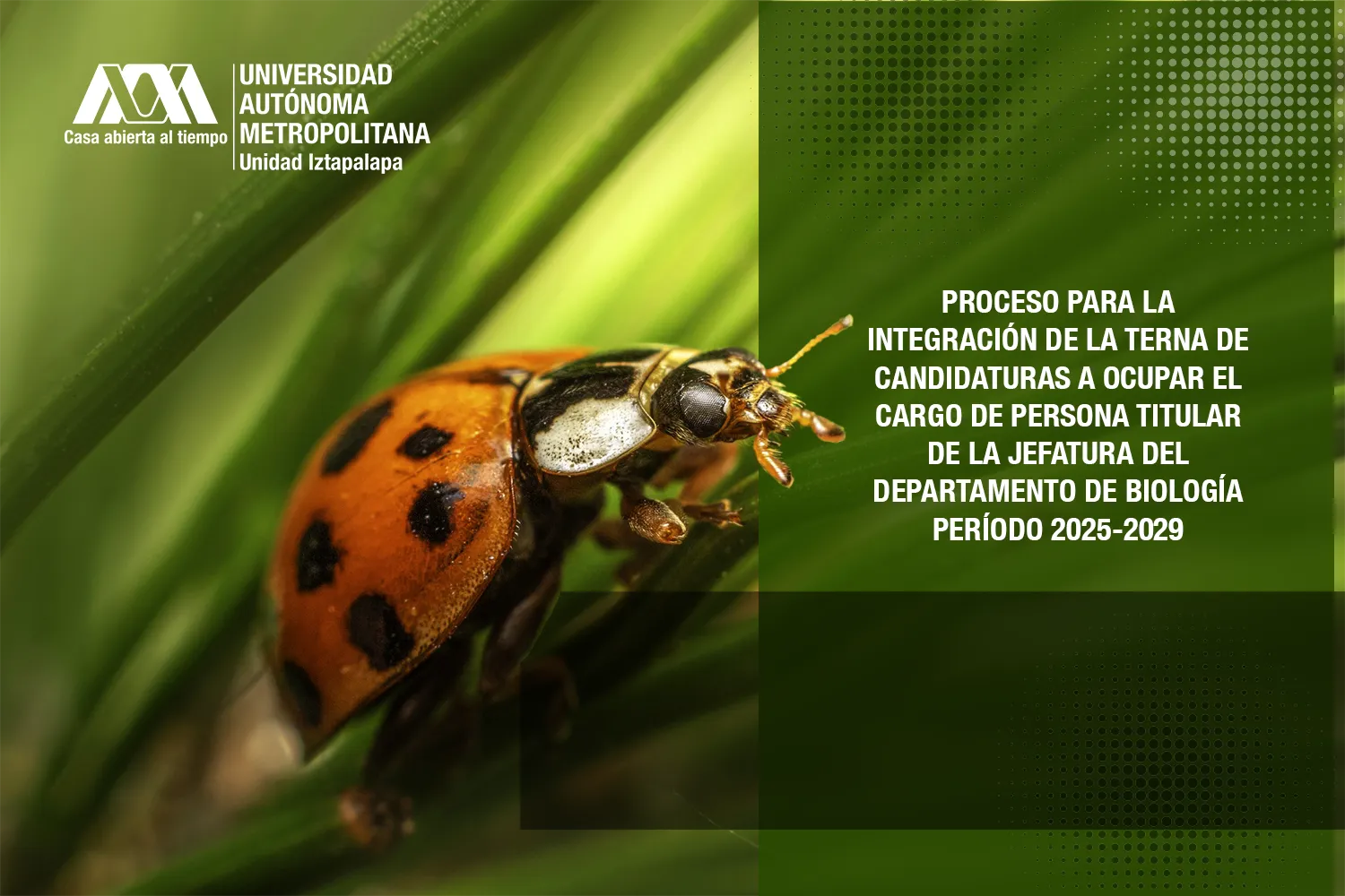 PROCESO PARA LA INTEGRACIÓN DE LA TERNA DE CANDIDATURAS A OCUPAR EL CARGO DE PERSONA TITULAR DE LA JEFATURA DEL DEPARTAMENTO DE BIOLOGÍA PERÍODO 2025-2029