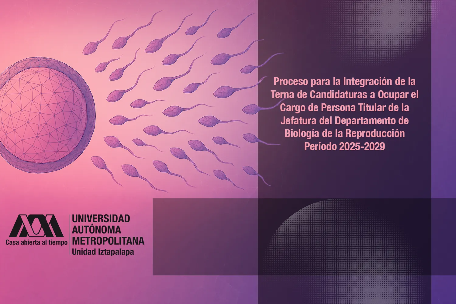 Proceso para la Integración de la Terna de Candidaturas a Ocupar el Cargo de Persona Titular de la Jefatura del Departamento de Biología de la Reproducción Período 2025-2029